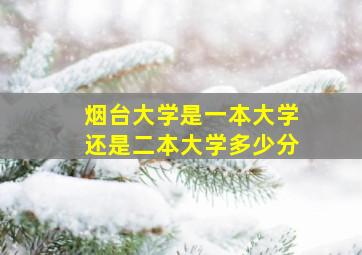 烟台大学是一本大学还是二本大学多少分