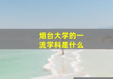 烟台大学的一流学科是什么