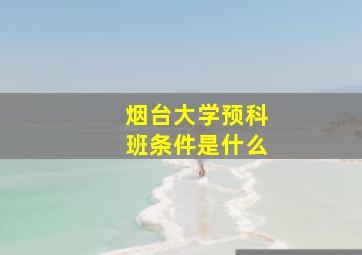 烟台大学预科班条件是什么