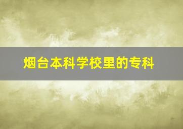 烟台本科学校里的专科