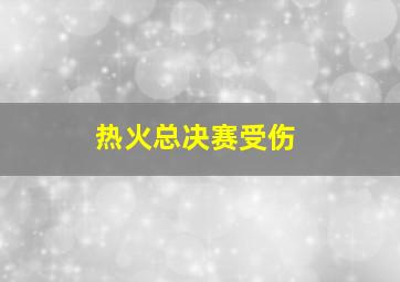 热火总决赛受伤