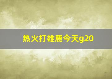 热火打雄鹿今天g20