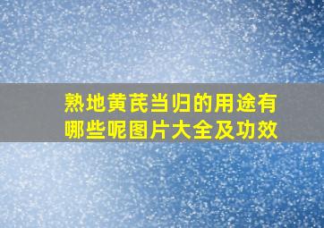 熟地黄芪当归的用途有哪些呢图片大全及功效