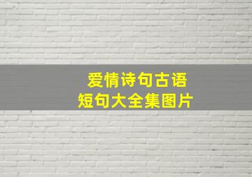 爱情诗句古语短句大全集图片