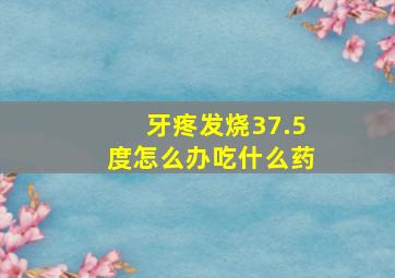 牙疼发烧37.5度怎么办吃什么药