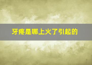 牙疼是哪上火了引起的