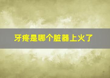 牙疼是哪个脏器上火了