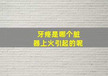 牙疼是哪个脏器上火引起的呢