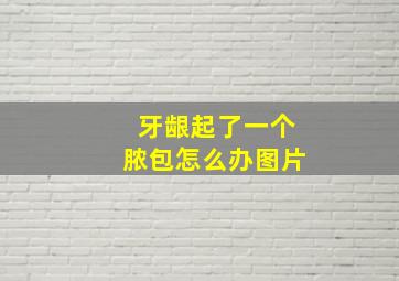 牙龈起了一个脓包怎么办图片