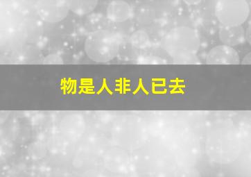 物是人非人已去