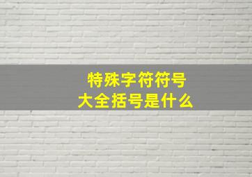 特殊字符符号大全括号是什么