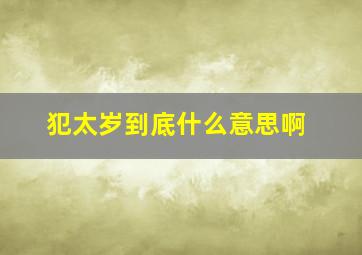 犯太岁到底什么意思啊