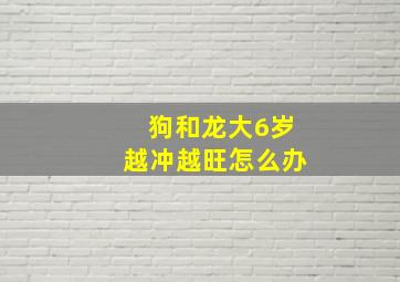 狗和龙大6岁越冲越旺怎么办