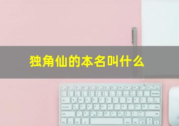 独角仙的本名叫什么