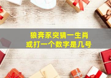 狼奔豕突猜一生肖或打一个数字是几号