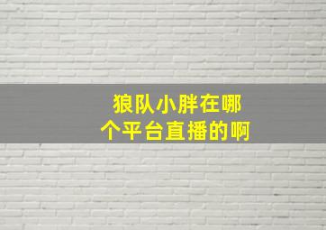 狼队小胖在哪个平台直播的啊