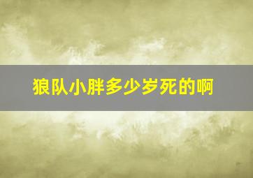 狼队小胖多少岁死的啊