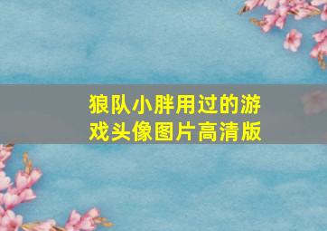 狼队小胖用过的游戏头像图片高清版