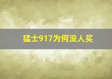 猛士917为何没人买