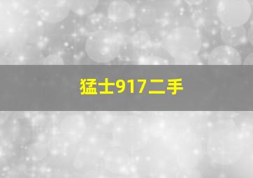 猛士917二手