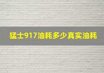 猛士917油耗多少真实油耗