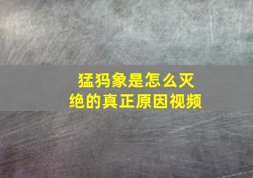 猛犸象是怎么灭绝的真正原因视频