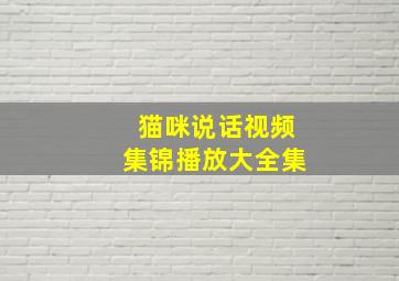 猫咪说话视频集锦播放大全集