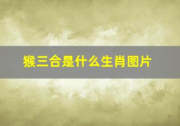 猴三合是什么生肖图片