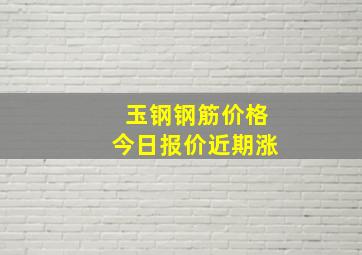 玉钢钢筋价格今日报价近期涨