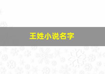 王姓小说名字