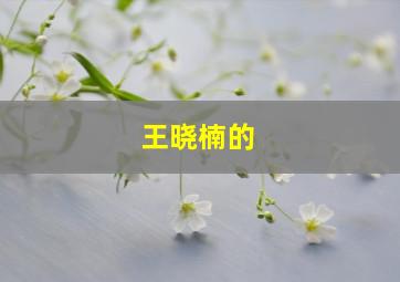 王晓楠的