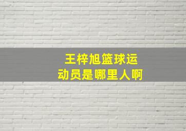 王梓旭篮球运动员是哪里人啊