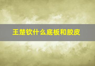 王楚钦什么底板和胶皮