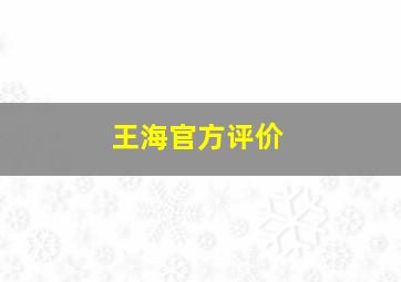 王海官方评价