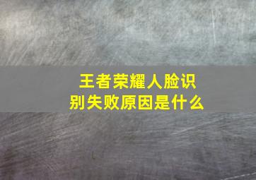 王者荣耀人脸识别失败原因是什么