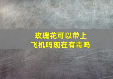 玫瑰花可以带上飞机吗现在有毒吗