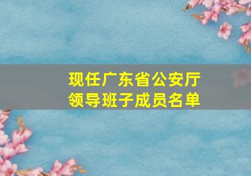 现任广东省公安厅领导班子成员名单