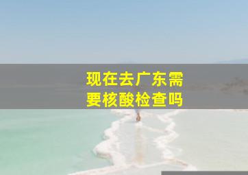 现在去广东需要核酸检查吗