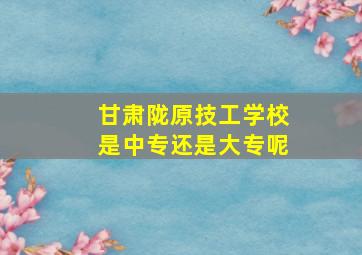 甘肃陇原技工学校是中专还是大专呢