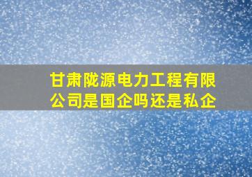 甘肃陇源电力工程有限公司是国企吗还是私企