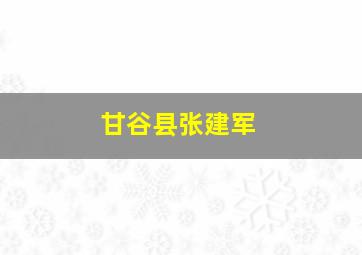 甘谷县张建军