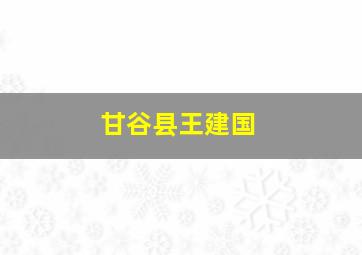 甘谷县王建国