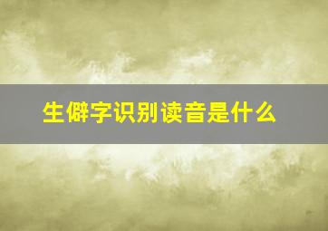 生僻字识别读音是什么