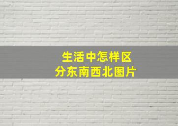 生活中怎样区分东南西北图片