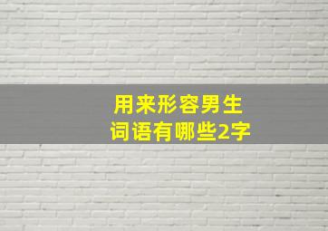 用来形容男生词语有哪些2字