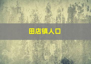 田店镇人口