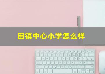 田镇中心小学怎么样