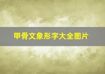 甲骨文象形字大全图片