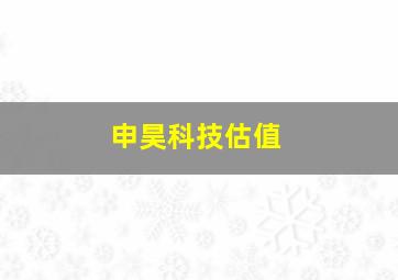 申昊科技估值