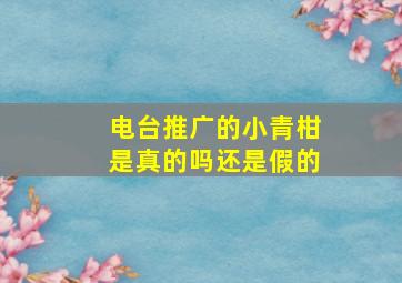 电台推广的小青柑是真的吗还是假的